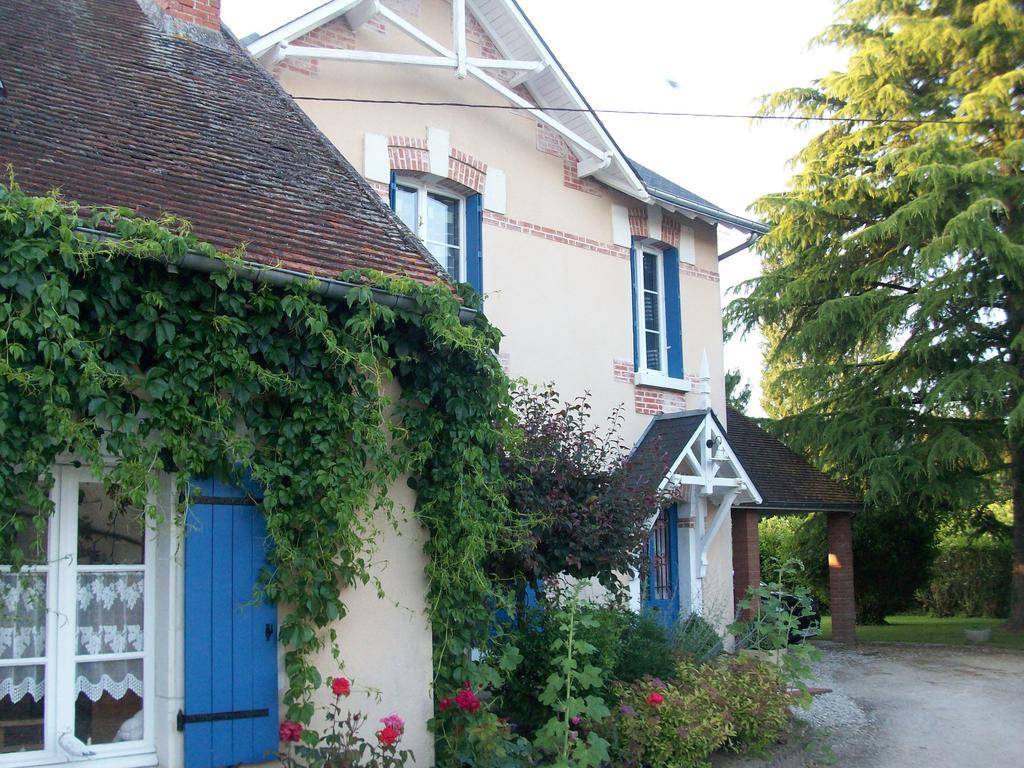 Loire, Chateaux, Et Vignes Онзан Екстериор снимка